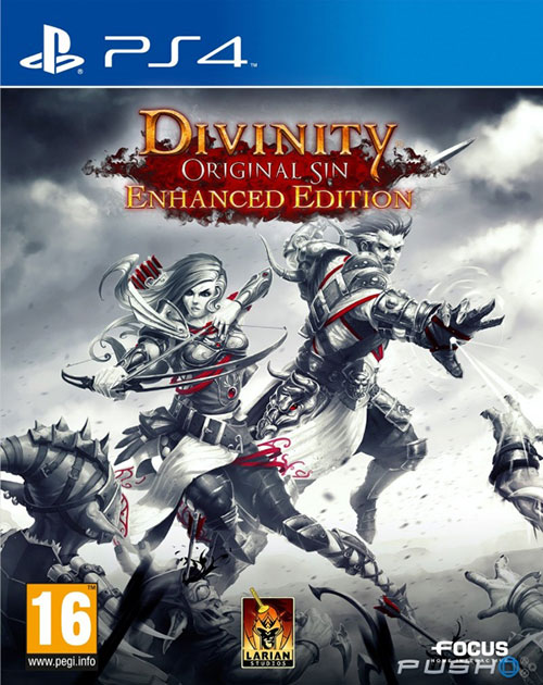 Divinity Original Sin Enhanced Edition - PlayStation 4 Játékok